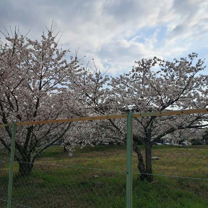 画像286