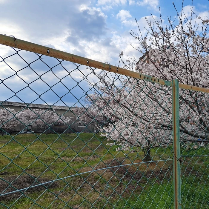 画像288