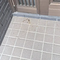 画像366