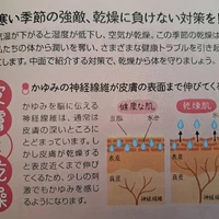 画像465