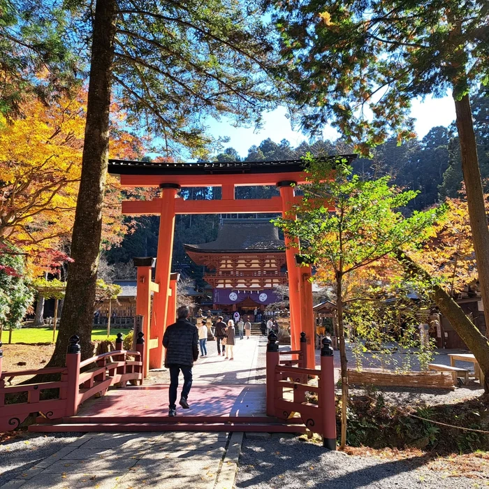 画像473