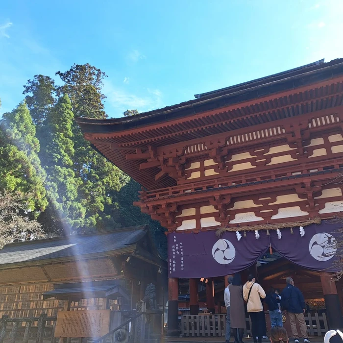 画像474