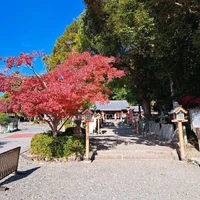画像477