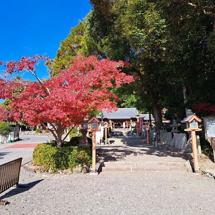 画像477