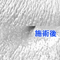 画像491