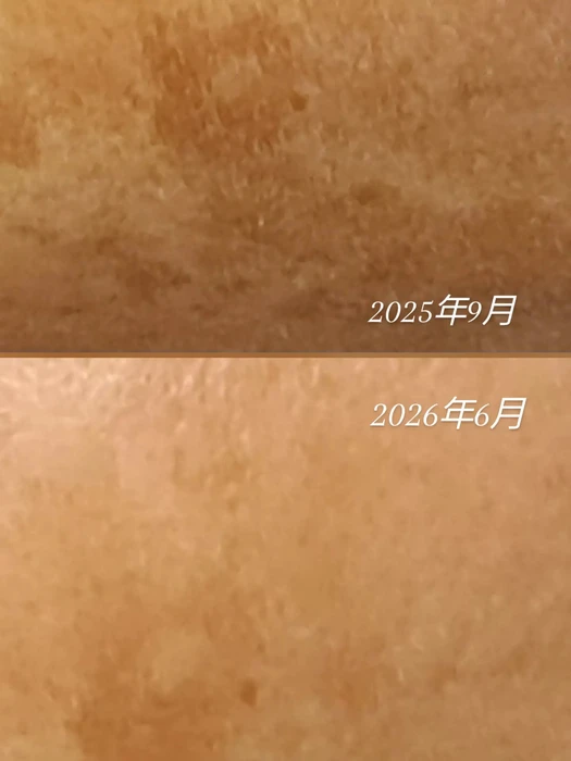 画像519