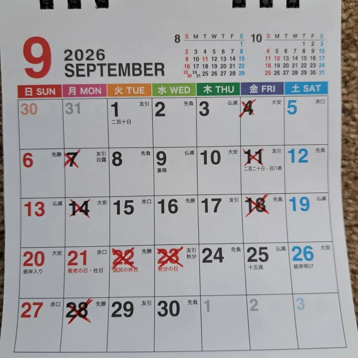 画像528